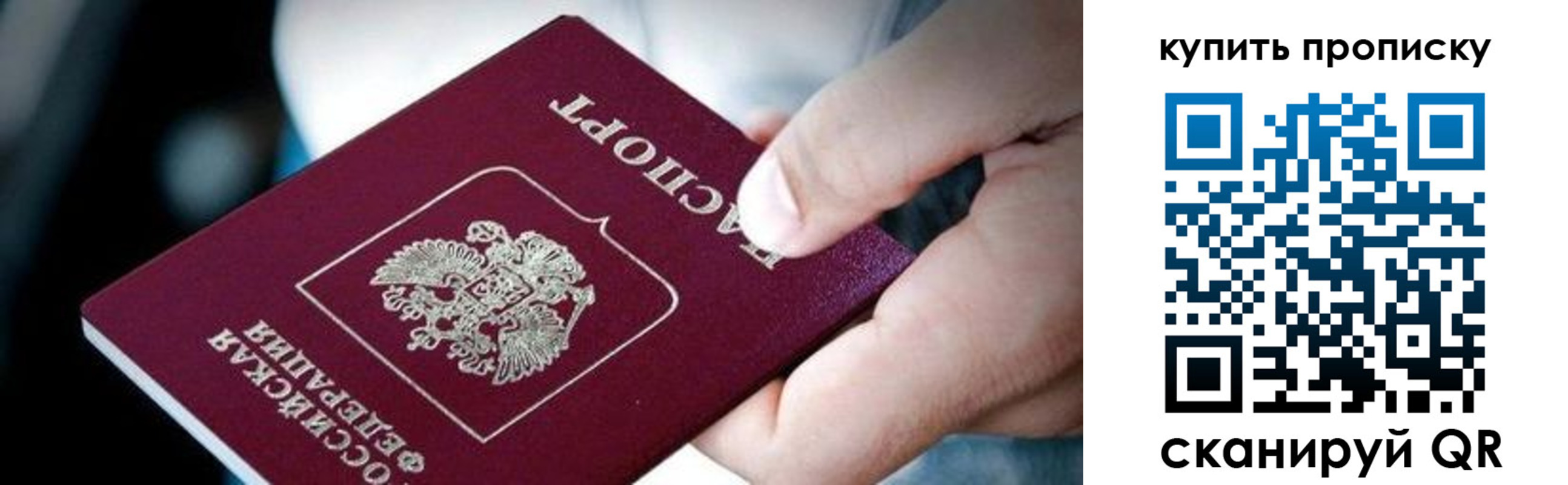 прописка поиск в Полярном
